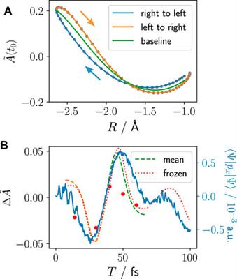 Nuclear–Electron Correlation Effects and Their Photoelectron Imprint in Molecular XUV Ionisation